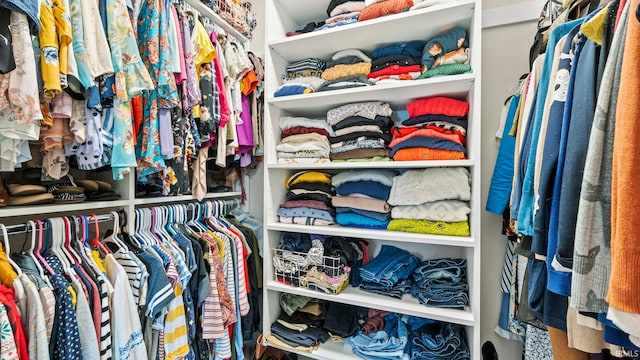 view of spacious closet