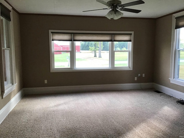 spare room with crown molding, carpet flooring, and ceiling fan