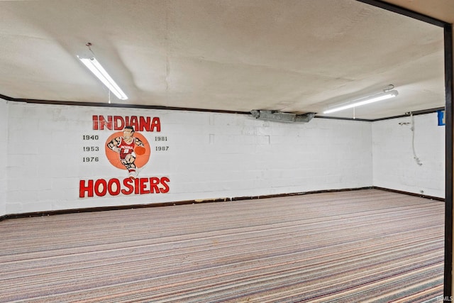 basement with a barn door and carpet flooring