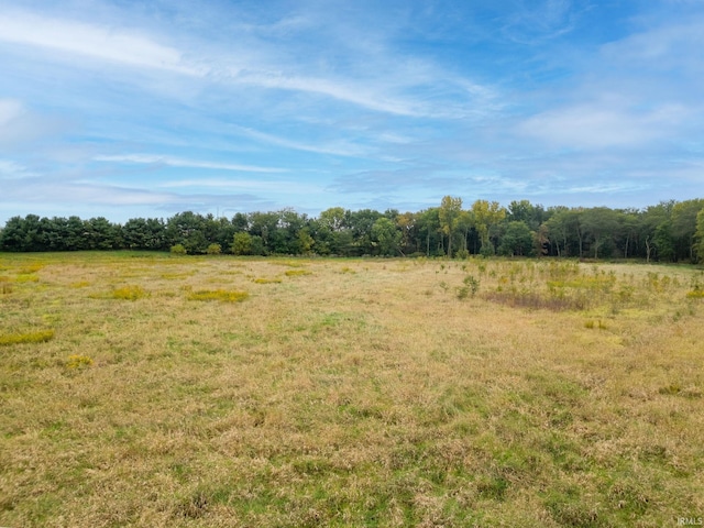 view of local wilderness featuring a rural view