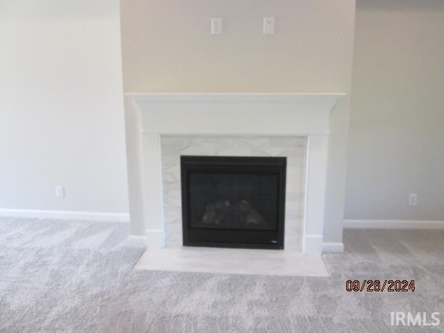 details featuring a high end fireplace and carpet flooring