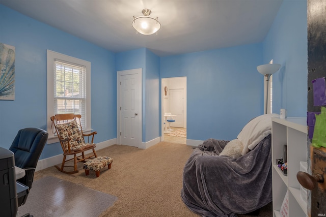 sitting room with light carpet