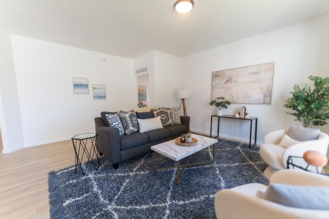 living room with wood-type flooring