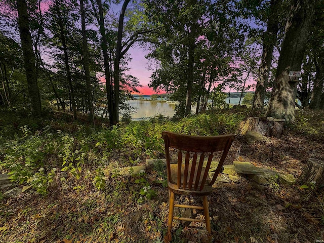 yard at dusk with a water view