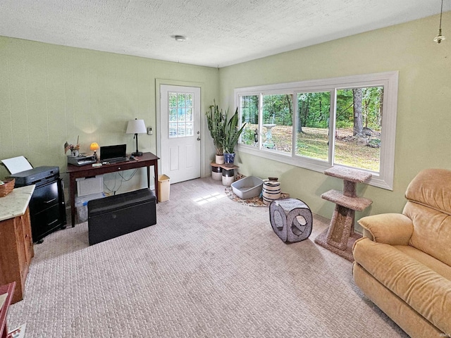 interior space featuring light carpet and a textured ceiling