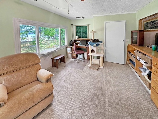 carpeted home office featuring a textured ceiling