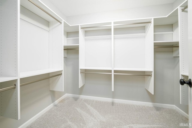 spacious closet with carpet floors