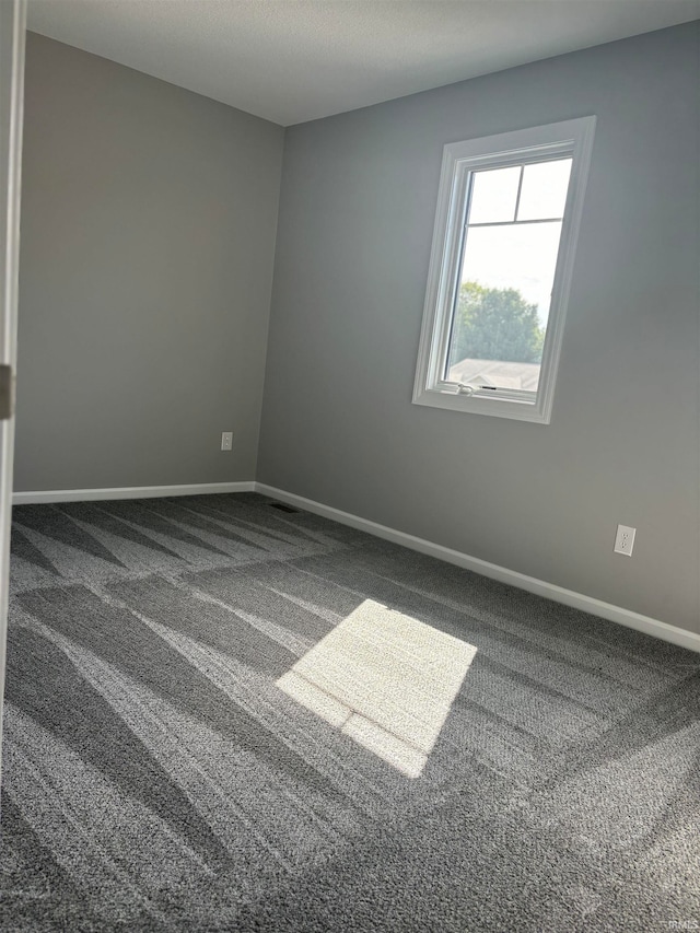 spare room featuring carpet