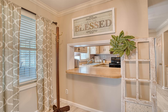 kitchen with black electric range, light wood-type flooring, tasteful backsplash, and crown molding