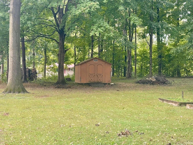 view of yard with a storage unit