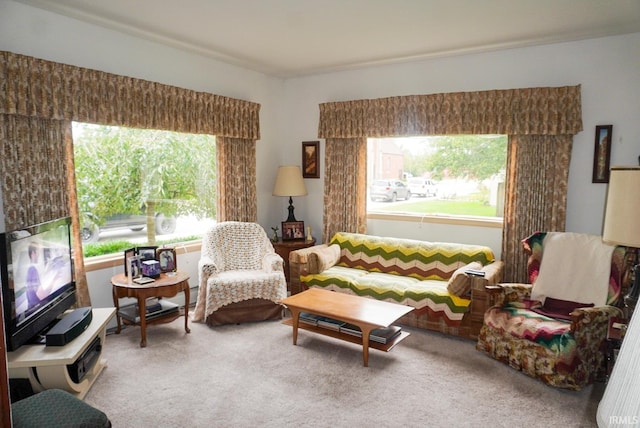 living room featuring carpet floors