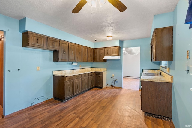 kitchen featuring sink, ceiling fan, dark hardwood / wood-style flooring, and a textured ceiling