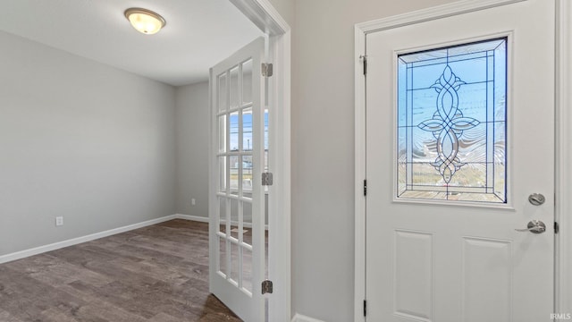 entrance foyer featuring dark hardwood / wood-style flooring and a wealth of natural light