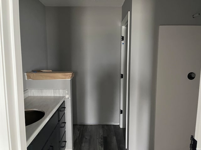 interior space featuring hardwood / wood-style floors and vanity