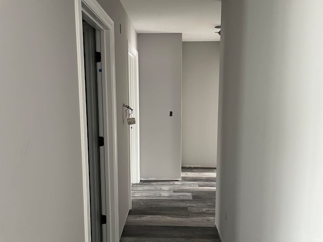 hallway with dark wood-type flooring