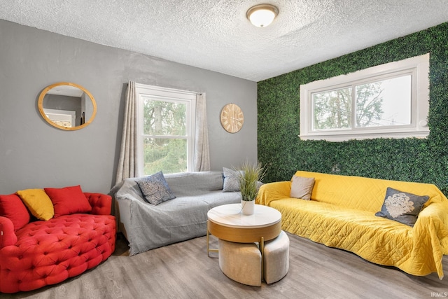 living room featuring a healthy amount of sunlight, a textured ceiling, and wood-type flooring