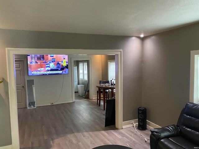 living room with wood-type flooring