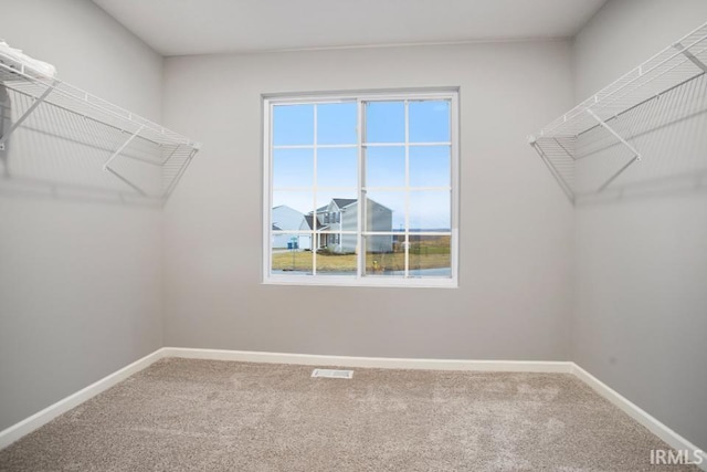 walk in closet featuring carpet floors