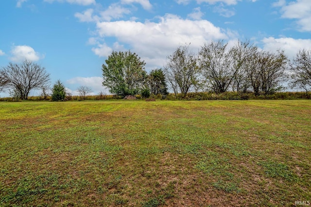 view of yard with a rural view