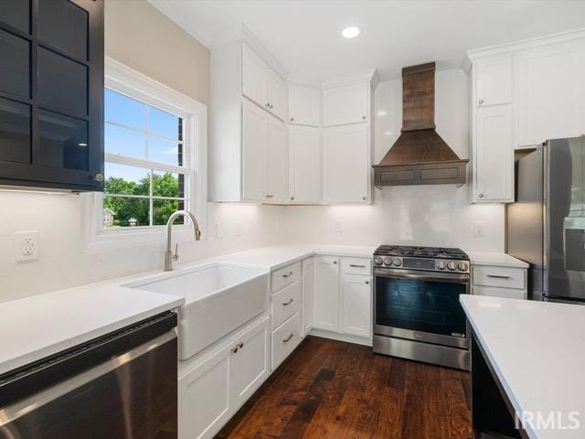 kitchen with white cabinetry, stainless steel appliances, custom exhaust hood, dark hardwood / wood-style floors, and sink