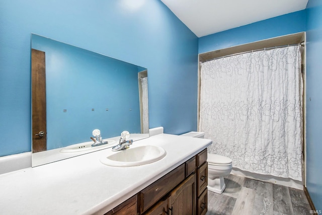 bathroom with vanity, hardwood / wood-style floors, and toilet