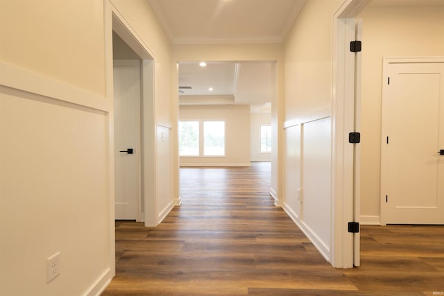 hallway featuring crown molding and dark hardwood / wood-style flooring