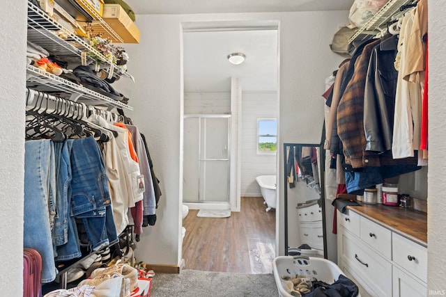 spacious closet featuring wood-type flooring