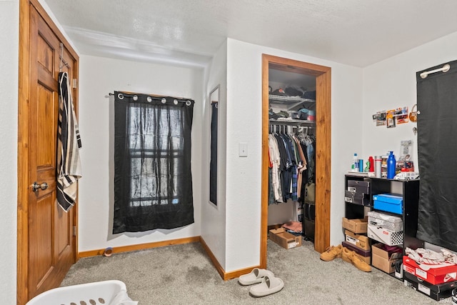 entrance foyer with a textured ceiling and carpet floors