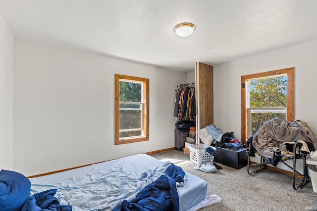 bedroom featuring light colored carpet, a textured ceiling, and multiple windows