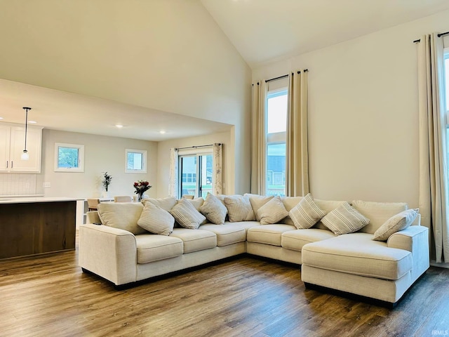 living room featuring high vaulted ceiling and hardwood / wood-style floors