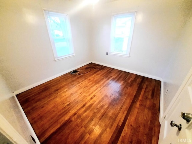 interior space with wood-type flooring