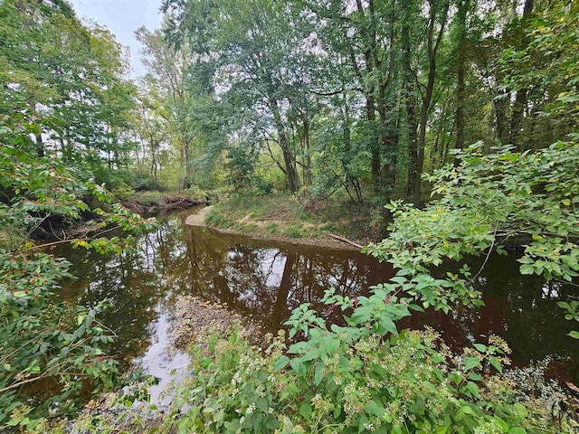 view of local wilderness