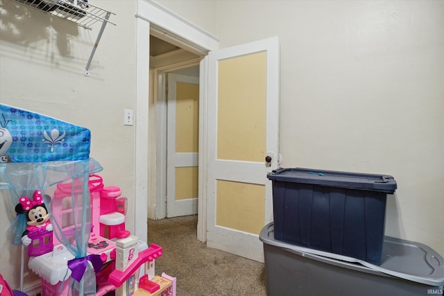 interior space with carpet floors