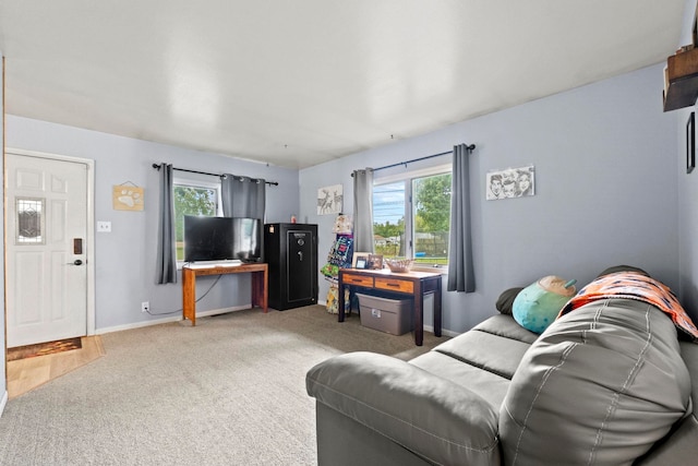 living room featuring carpet and a healthy amount of sunlight