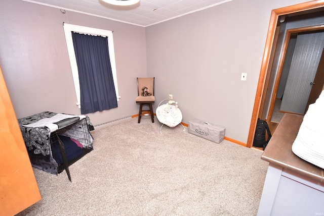 miscellaneous room with light carpet