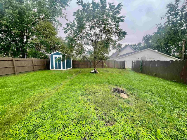 view of yard with a storage shed