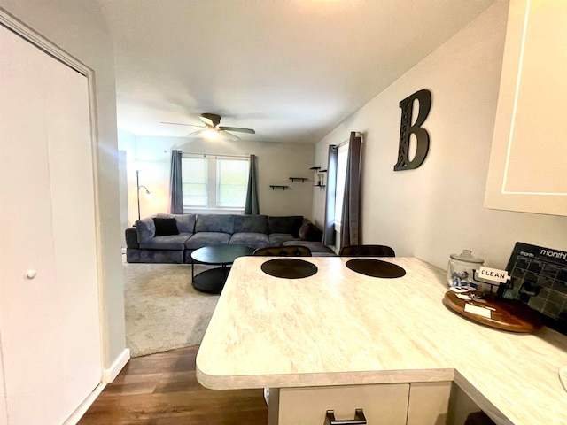 dining space featuring ceiling fan and dark hardwood / wood-style flooring