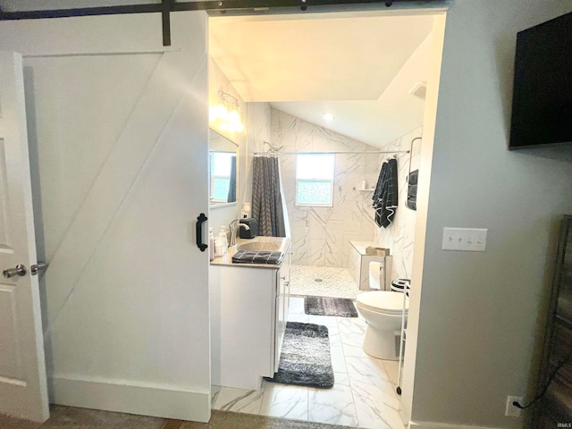 bathroom featuring walk in shower, sink, lofted ceiling, and toilet