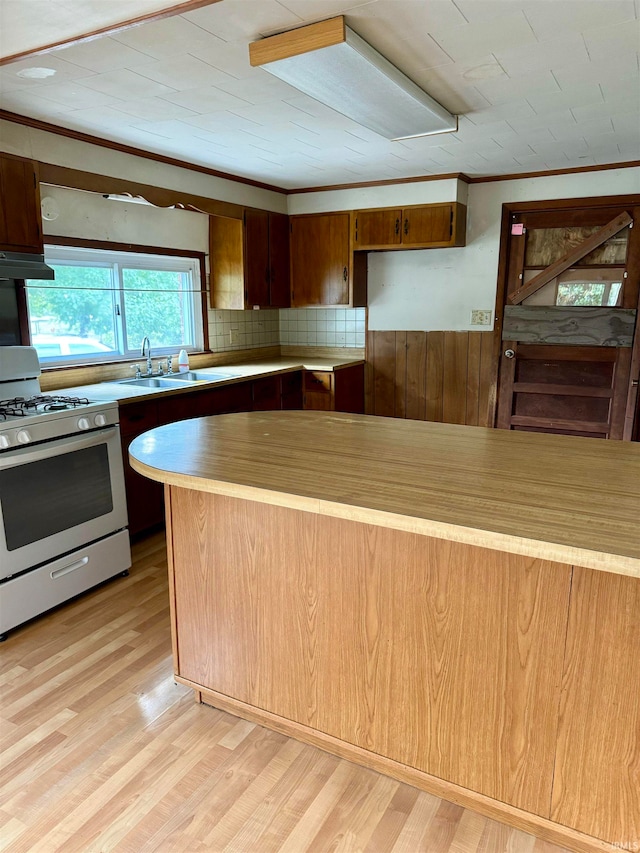 kitchen with stainless steel range with gas cooktop, ornamental molding, light hardwood / wood-style flooring, and sink