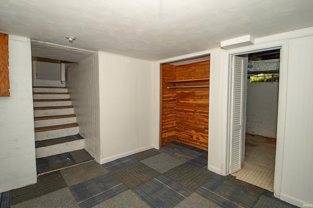 basement with wooden walls