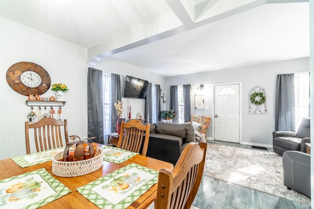 dining space featuring a wealth of natural light and hardwood / wood-style flooring