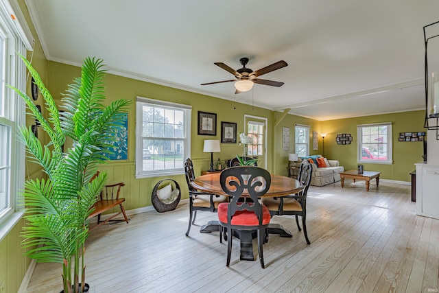 dining area with ceiling fan, plenty of natural light, crown molding, and light hardwood / wood-style flooring