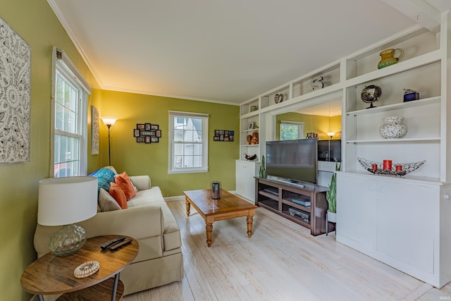 living room featuring light hardwood / wood-style floors, built in features, and a wealth of natural light