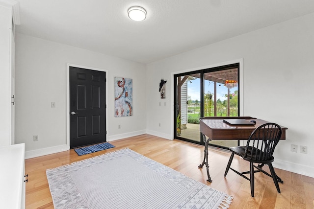 entrance foyer with wood-type flooring