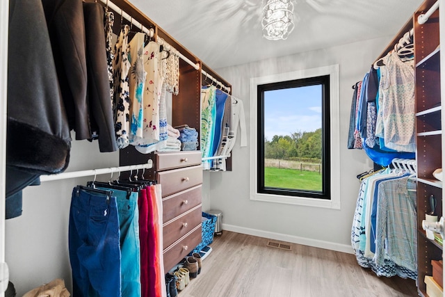 spacious closet with light wood-type flooring