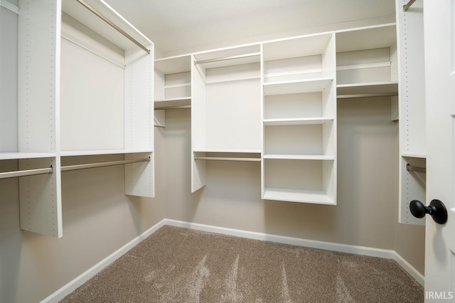 walk in closet featuring carpet