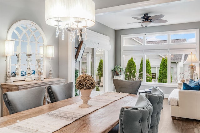 dining area featuring ceiling fan with notable chandelier, dark hardwood / wood-style floors, and a wealth of natural light