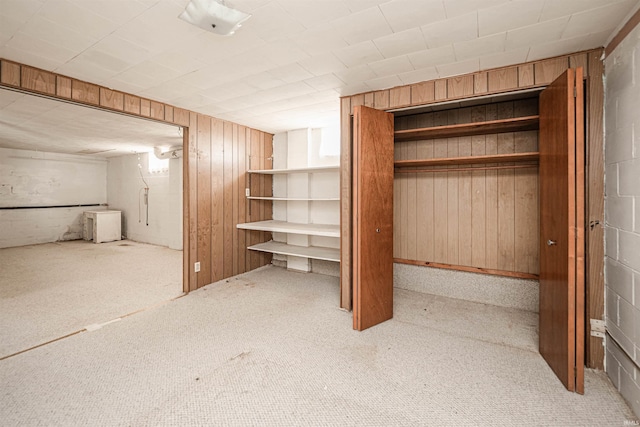 interior space with wood walls and light colored carpet