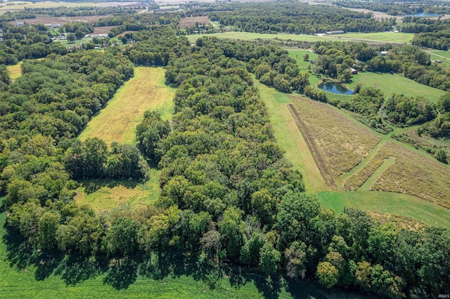 bird's eye view with a water view and a rural view