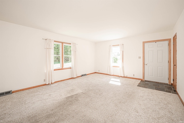 carpeted spare room featuring a healthy amount of sunlight